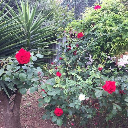 Il Giardino Della Foglia Otel Bari Dış mekan fotoğraf